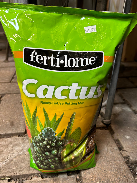 Cactus