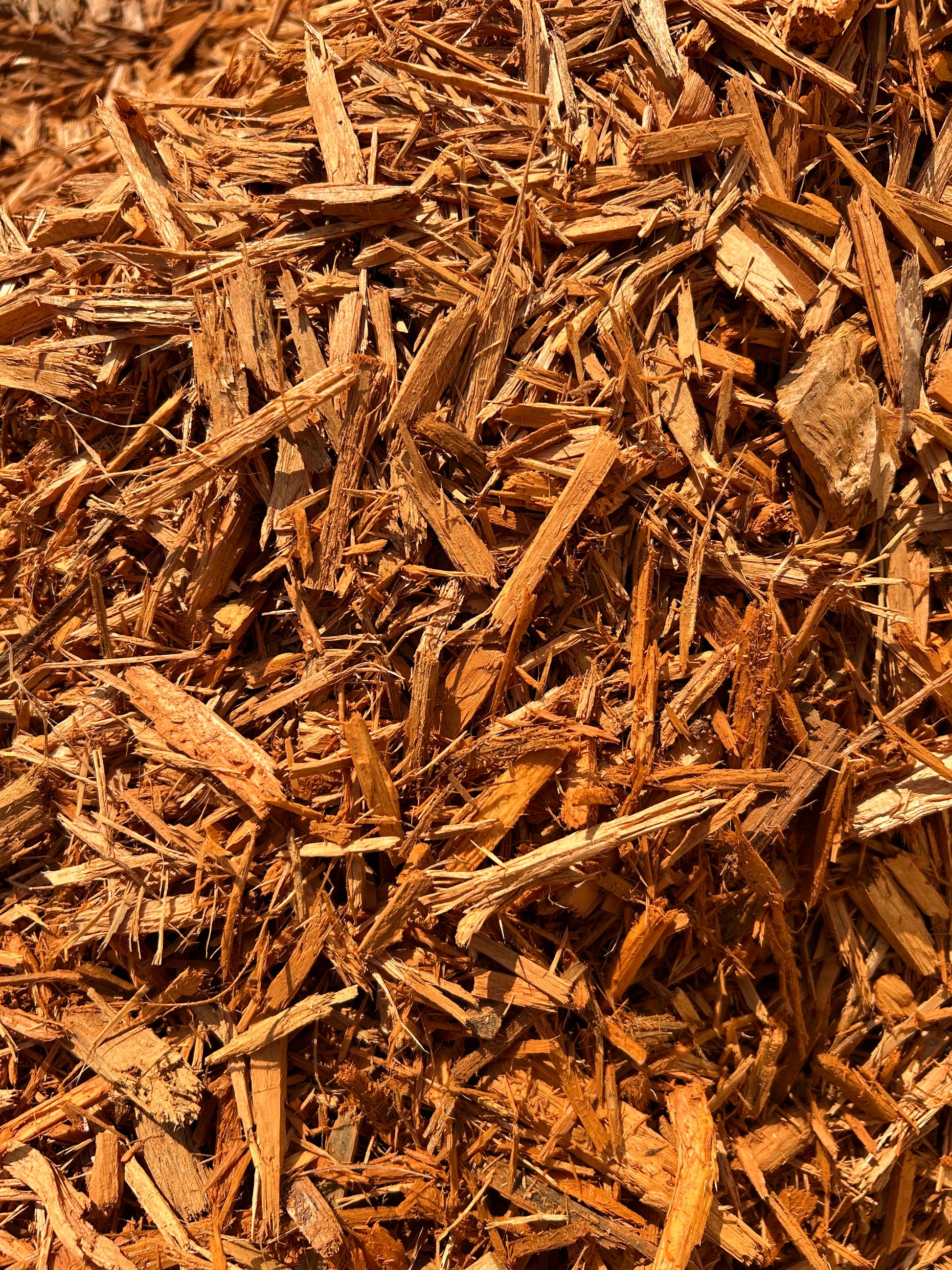 Golden Mulch