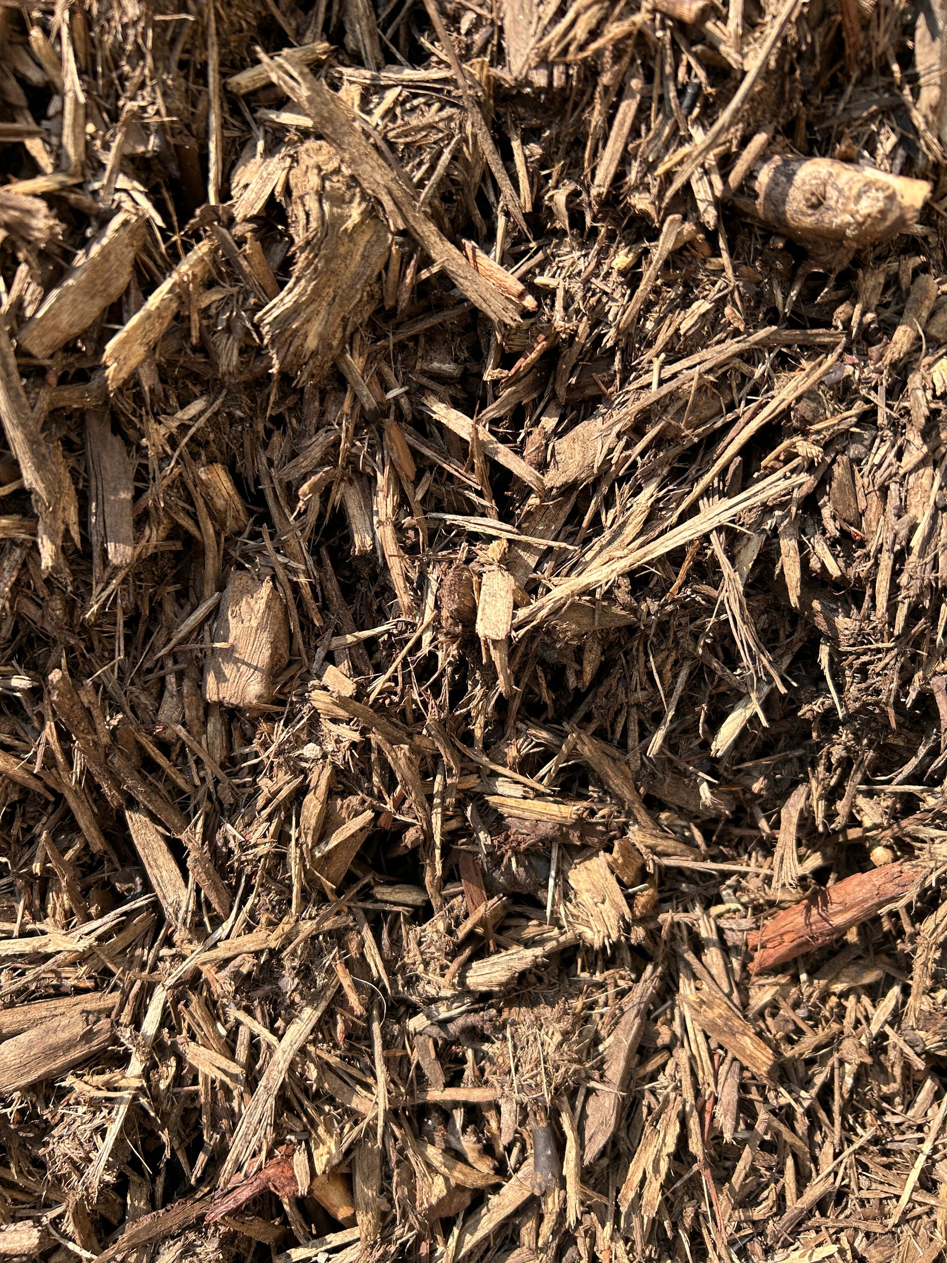 Natural Mulch