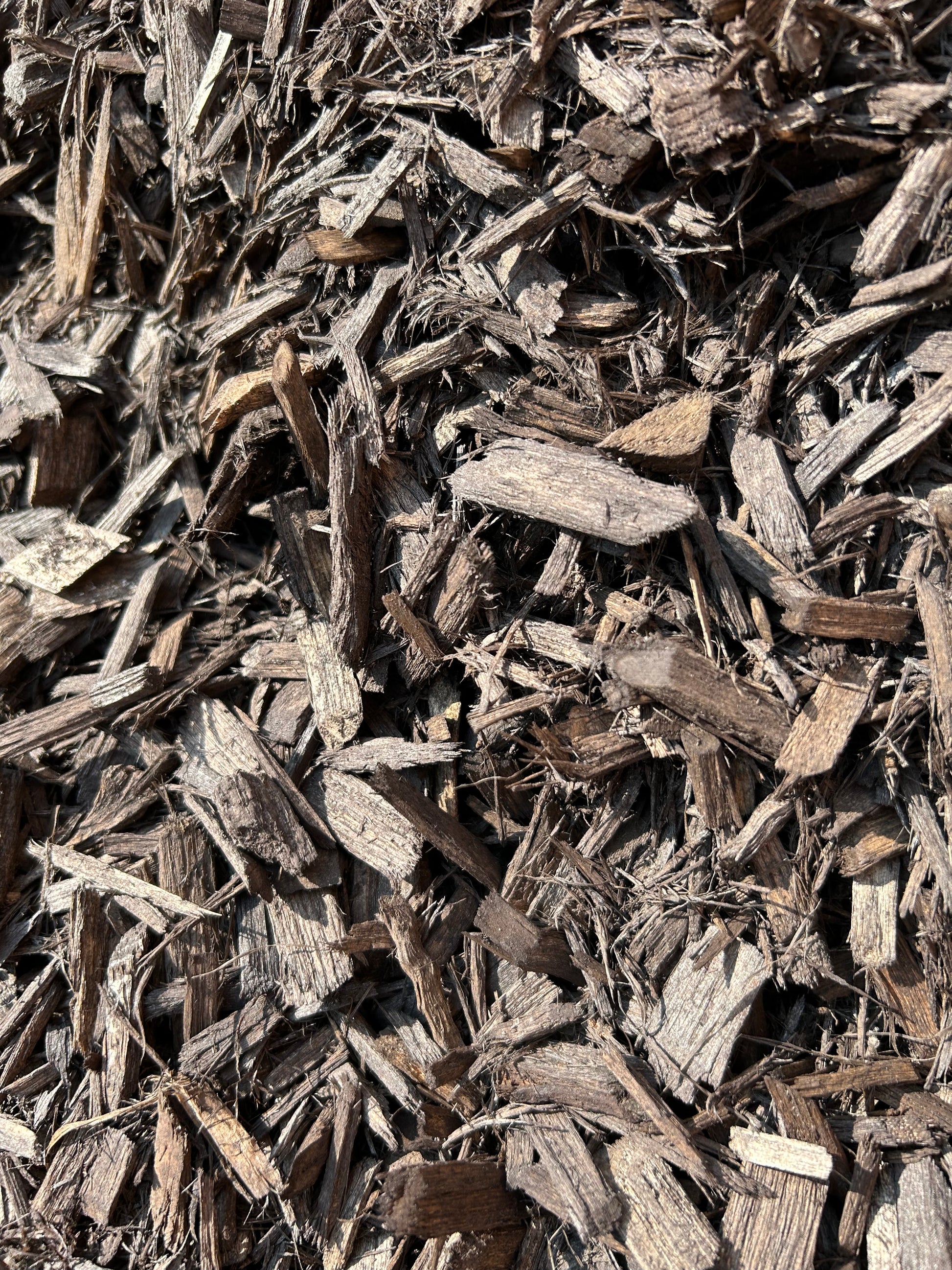 Brown (Chocolate) Mulch