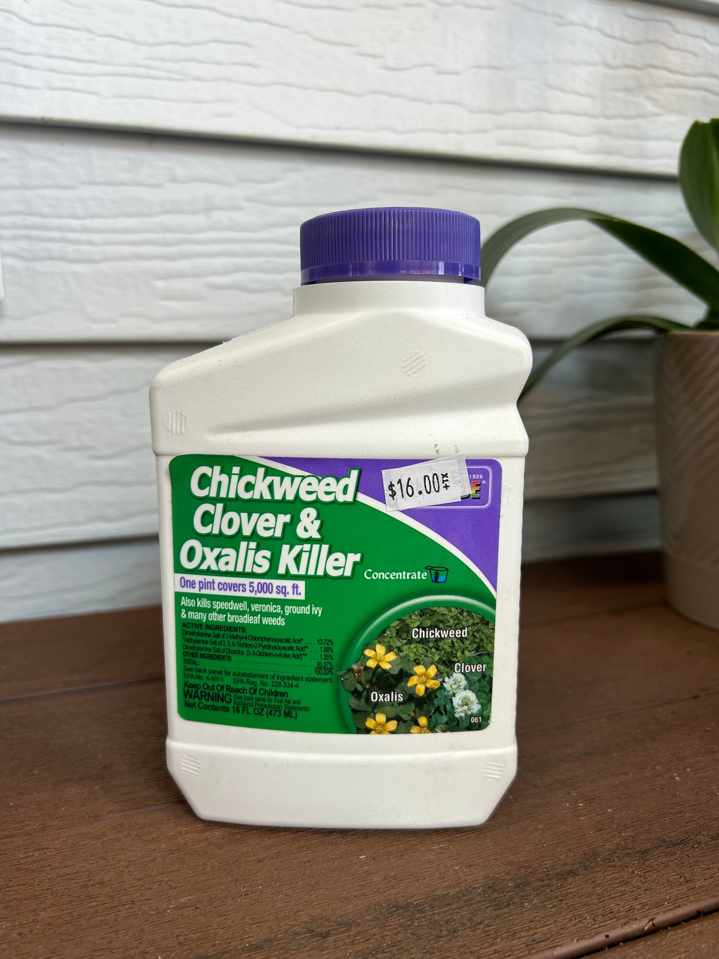 Chickweed, Clover & Oxalis Killer (Concentrate)